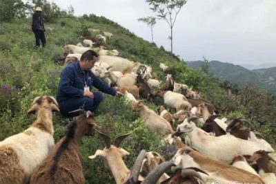 對口幫扶村產業發展勢頭強勁