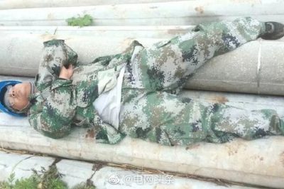 在發燙的電桿上睡覺是種什么體驗