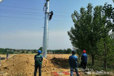 萊州市供電公司組織更換導線和鋼管桿
