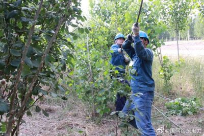 高溫工作補水不停 架線強網安渡夏峰