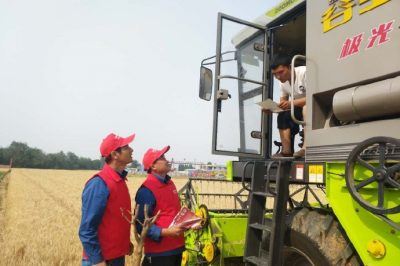 河北電力簡訊：芒種忙忙割，農家樂啟鐮