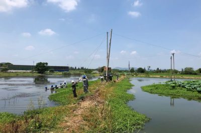 蔡甸區供電公司10kV侏508馬賽線鐵爐支線立桿架線