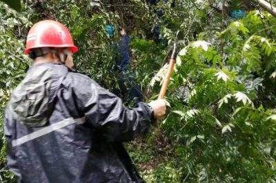 勉縣供電公司冒雨搶修斷裂導線奮戰5小時回復供電