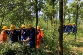 長寧縣電力公司對10kV西犁線筆架4臺區進行震后隱患整改施工