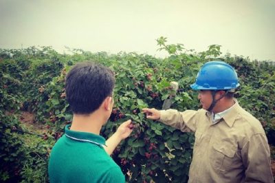 儀征供電公司在生產示范基地開展電力服務