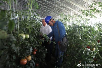 五蓮供電公司：主動上門服務 助力菜農生產