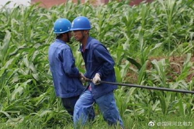 無極縣供電公司開展雨后防倒桿排查工作障線路安全穩定運行