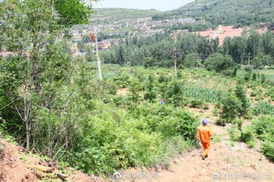 臨朐縣供電公司員工冒著37攝氏度高溫持續施工在10千伏丹崮線