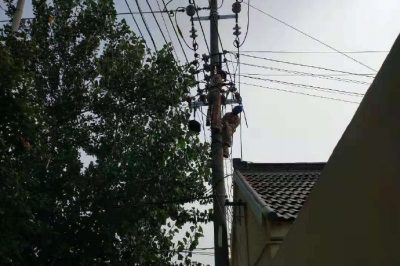溧水區供電公司東屏鎮負荷較高的用電線路進行分負荷工作