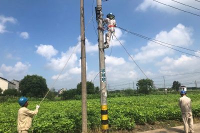 吳江區(qū)供電公司在新?tīng)I(yíng)1號(hào)變拆除存在安全隱患的廢舊線路