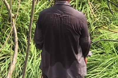 贛州開發區供電公司搶修蟠龍鎮楊邊村10千伏章楊線