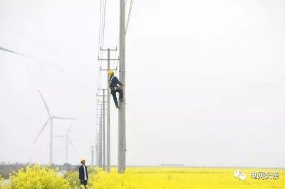 14億人全民通電如何做到的？18根電桿為1戶供電，100年無法回本