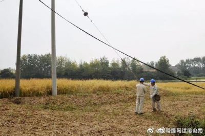 高郵市供電公司維護丘陵段的稻田用電打水口