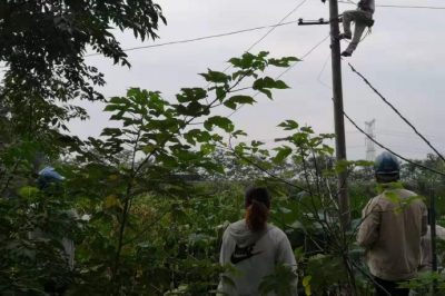 報修人員乘上小舟登上電桿搭接發生故障的藕塘內線路