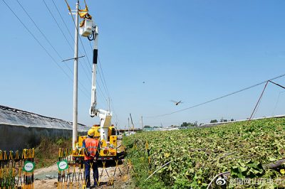 10千伏曲東線工業園支線6號桿進行帶電消缺