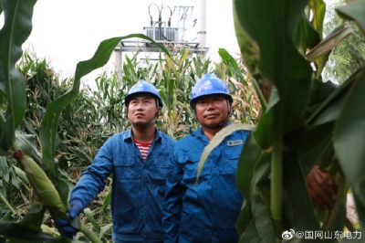 巡檢10千伏疏港線大石橋支線 發現隱患及時消缺整改