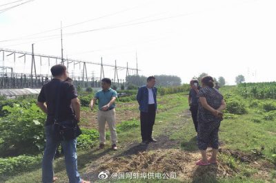 協調治理220千伏線路鐵塔下方保護區內違章建塑料大棚隱患