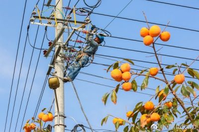 焦橋鎮史新村400伏農網線路開展升級改造