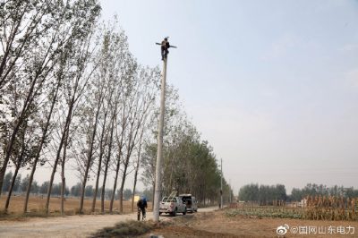 富春鄉楊樓村村頭架設10千伏線路優化配網