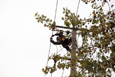 招遠市供電公司在10千伏市區線進行裝件打拉線作業