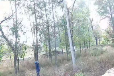 靈壽縣供電公司在山區巡視10千伏南營線