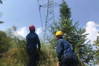 國網旌德縣供電公司：巡線人的堅守