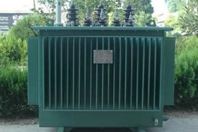 豐都縣龍河新城互聯互通2號道路施工用電工程