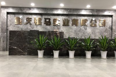 重慶有多少電廠？