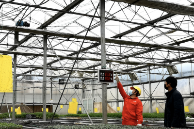 提質增效：重慶電力聚焦“六個提質” 服務社會經濟發展