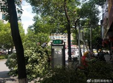 #向配網開戰#風景這邊獨好，砍青掃障