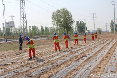 東營(yíng)墾利紅旗110千伏變電站35千伏配套送出工程