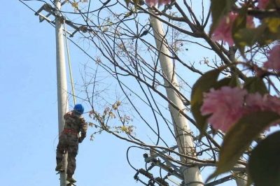 高碑店市供電公司升配網忙改造