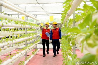 檢查維護電力設施及用電設備