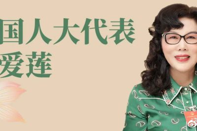 全國人大代表陳愛蓮：國家電網戰略是我國能源高質量發展的重要途徑