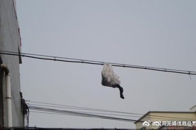 你的隨手一“拋”，可能導致跳閘停電！