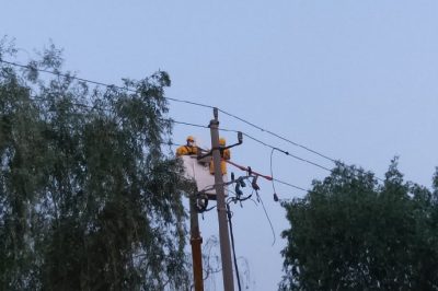 帶電作業保供電 優質服務展形象