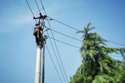 電桿上進行更換金具作業