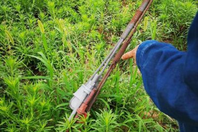 重點檢查防撞標識、接點測溫、螺栓及拉線松動