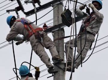 優質服務優化營商環境