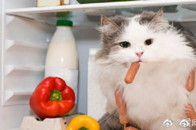 電冰箱省電良方，走過路過別錯過啊！