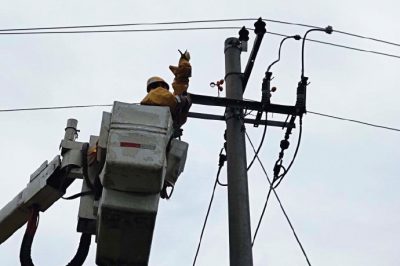 緊急消缺及時開展 帶電作業保障供電