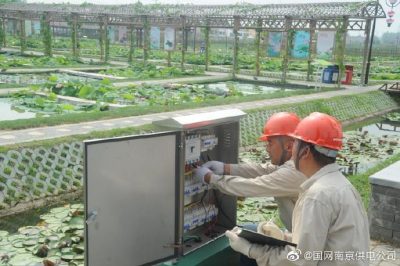 國網(wǎng)南京市江北新區(qū)供電公司安裝變壓器、環(huán)網(wǎng)柜、配電箱等配電設(shè)備