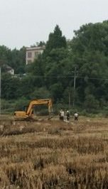 大路坪供電所農改施工隊在新建蕉林村東洋灣臺區進行立桿作業