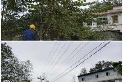 對10千伏禾臘線消水坨臺區、石家寨臺區進行巡視