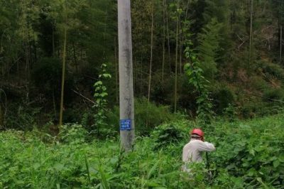 配電運行員清理10千伏黃陶線#1050號桿通道內的藤蔓和樹障