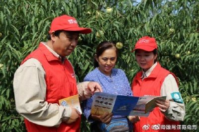 迎雙節 助農收 保供電