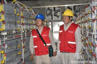 紅馬甲服務養殖戶 投運前安全用電檢查