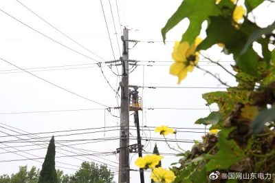 高空作業 保障電網穩定運行