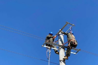 對農場511線路進行升級改造