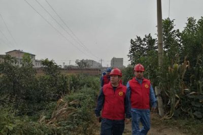 對10千伏534清崗線開展專業特巡